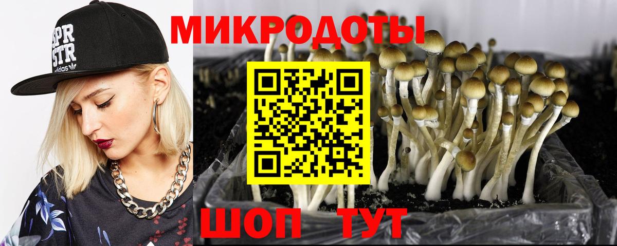 как найти закладки  Псилоцибиновые грибы ЛСД  Вход с VPN  Галлюциногенные грибы прущие грибы  Чусовой 